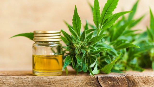 Unveiling the Green Gold: Exploring the World of CBD Products
