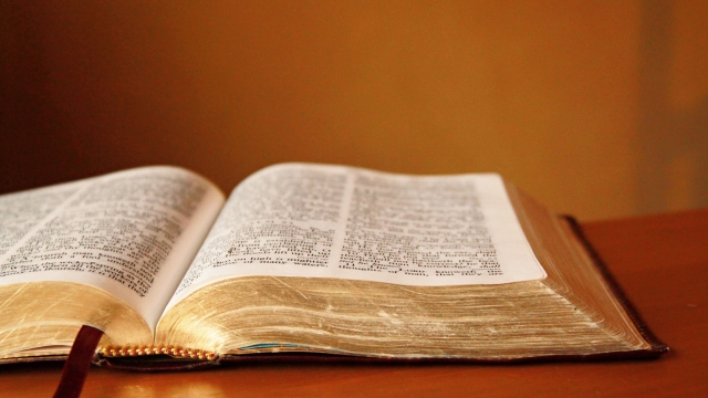 Unveiling the Wisdom: Exploring the Depths of Bible Study