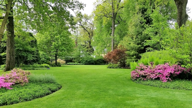 Transforming Your Yard: Innovative Landscaping Ideas for a Stunning Lawn
