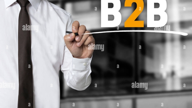 B2B Brilliance: Unleashing the Power of Business-to-Business Relationships