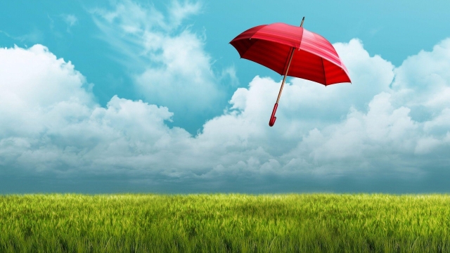 Shielding Your Future: The Ultimate Guide to Insurance Services