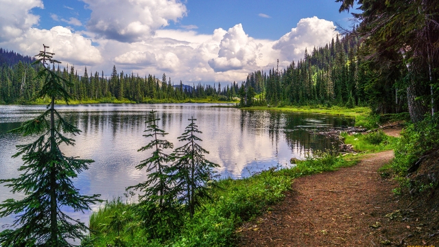 Framing Dreams: Capturing Life Through the Lens