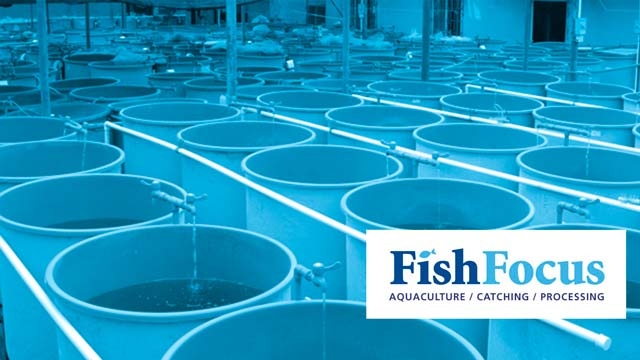 Revolutionizing the Waters: The Future of Aquaculture Technology