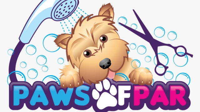 Pawsitively Pampered: Discover the Ultimate Pet Saloon Experience!