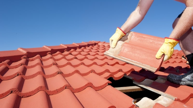 Elevate Your Home: The Ultimate Guide to Roofing Services